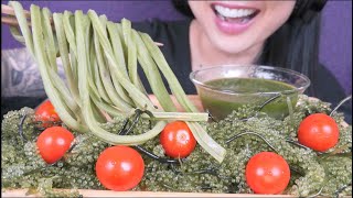 THE MOST CRUNCHY VEGGIE FOR ASMR EATING SOUNDS NO TALKING  SASASMR [upl. by Stephanie841]