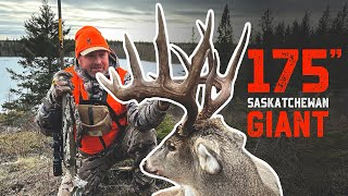 ALL DAY SITS for a Saskatchewan GIANT  Big Woods Deer Hunting [upl. by Nahsad]