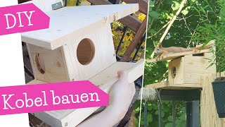 DIY Eichhörnchen Kobel bauen  Haus für Eichhörnchen Anleitung  DIY Bauanleitung  mommymade [upl. by Shabbir]