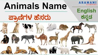 Animals Name With Kannada Meaning  ಪ್ರಾಣಿಗಳ ಹೆಸರು  Learn English [upl. by Nisotawulo649]