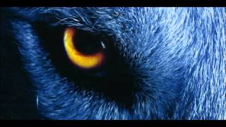 David Guetta  She Wolf Version español [upl. by Amme]