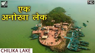 एक अनोखा लेक  Chilika Lake Odisha  मानव व प्रकृति का संघर्ष  Asias Largest Brackish Water Lagoon [upl. by Specht]