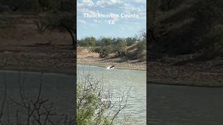 Wild hog gets spooked from stock tank CR 220 Throckmorton TX wildhogs nature texas wildboar [upl. by Meurer875]