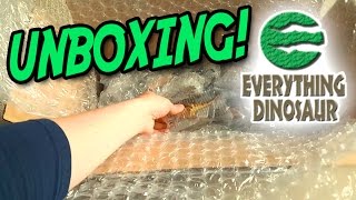 Epic Dinosaur Unboxing  Everything Dinosaur  Papo CollectA Mojo figures [upl. by Silvain]