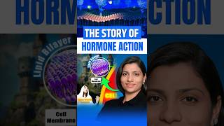 The Story of Hormone Action  NEET Concept neetbiology neet2025 neet2024 neet riturattewal [upl. by Simona]