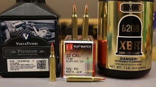 223 Rem  Hornady 73gr ELD  N140 and 8208 XBR [upl. by Oiruam]