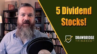 5 Dividend stocks Im buying this Month [upl. by Kcirtemed466]