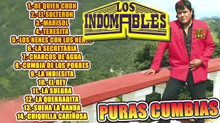 Los Indomables  Puras Cumbias Mix 2023 [upl. by Nunnery440]