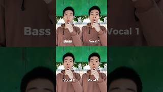 Wellerman Cover beatbox tiktok [upl. by Idrahs997]