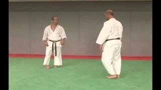 Wado Ryu Sanbon kumite jodan uke 4 [upl. by Ennaillek320]