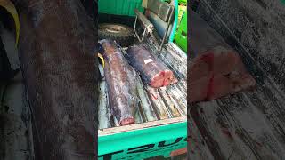 Fish monger reseller in Dumaguete [upl. by Loyce]