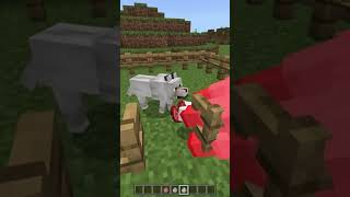 دليل على ان ماين كرافت دخلت الاسلام 😂 😸 minecraft زيديكس [upl. by Enyale]