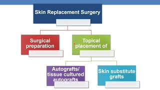 CPT CODING GUIDELINES FOR SURGERY INTEGUMENTARY SYSTEM PART 5 [upl. by Amethyst505]