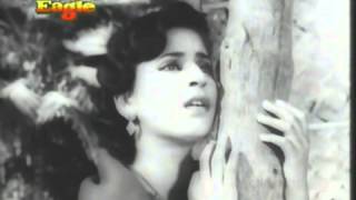 Chandani raatein pyar ki baatein  Lata  Jaal 1952 [upl. by Hyacinthia987]