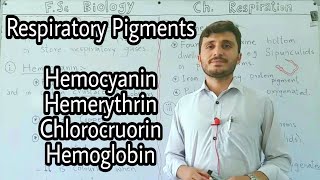 Respiratory Pigments  Haemoglobin  Hemocyanin  Hemerythrin  Chlorocruorin [upl. by Siskind101]