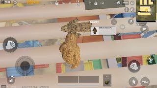 PUBG MOBILE  Ghillie suit dark brown and desert Location in training mode [upl. by Deden]