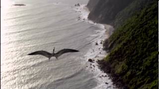 Flying With a Dinosaur  Walking with Dinosaurs in HQ  BBC Earth [upl. by Islehc588]