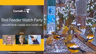 Bird Feeder Watch Party LIVE with Birds Canada and the Cornell Lab Tuesday November 21 [upl. by Marquis]