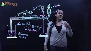 Transpiration Class 10 ICSE  Biology  Shyamco Grassroots  Class 10 [upl. by Rhetta]