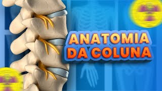 ANATOMIA HUMANA DA COLUNA VERTEBRAL  Radiologando [upl. by Marvella]