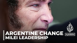 Javier Mileis 100 days Argentine leader promising more reforms [upl. by Abigail]