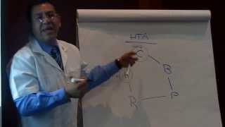 Auriculoterapia Puntos para Hipertension Arterial [upl. by Genaro]