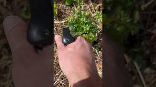 Using peppermint oil to kill poison oak naturalremedy poisonoak weedkiller organicgardening [upl. by Kcirdde5]