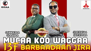 Jireenyaa Shifarraa on GammadaaShow Mucaa koo waggaa 13f barbaadaan jira Episode 30 2024 [upl. by Agnew]