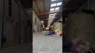 Horsie vacuum 🤪🐴🖤 equestrian short viralvideo [upl. by Mirabella953]