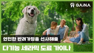 안전한 반려가정을 선사해줄 가이나🍃 [upl. by Enyamrahc]