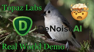 Topaz DeNoise AI Real World Demo [upl. by Ahtelahs]