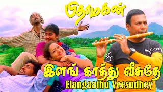 இளங்காத்து வீசுதே  Elangaathu Veesudhey  Flute  Pathmaraj [upl. by Hareehat]