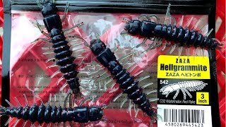 THE NIKKO HELLGRAMMITESMALLMOUTH CANDY [upl. by Kerrie]