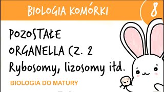 Cytologia 8  Pozostałe organella cz2 Rybosomy peroksysomy lizosomy glioksysomy wakuole [upl. by Ingram]