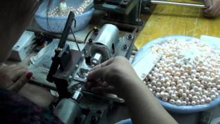 Freshwater Culture Pearls production [upl. by Cinamod]