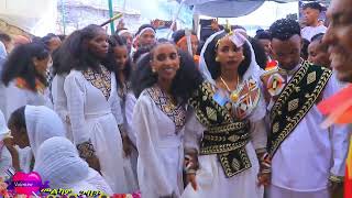 ጓይላ ትግራይ Gayla tigrigna Tigray wedding [upl. by Knah]