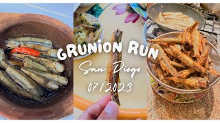 Grunion Run  San Diego 072023 [upl. by Notlek264]