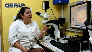 Eugenia Salgado Salomón Área de Fitopatología y Microbiología Aplicada [upl. by Queston]