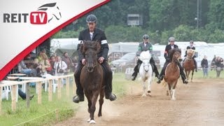 Gangpferdeprüfung  die Isländer zeigen ihr Können auf der EQUITANA Open Air 2012 [upl. by Alam]