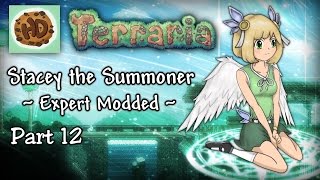 Terraria 134 Expert Modded Summoner Lets Play Part 12  Stacey vs Cryogen [upl. by Mccandless]