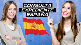 Nacionalidad española Consulta telemática de expedientes [upl. by Enasus]