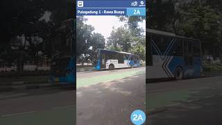 Transjakarta 2A Pulo Gadung 1  Rawa Buaya transjakarta shorts youtubeshorts [upl. by Areem]