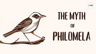 The Myth of Philomela  Ovids Metamorphoses [upl. by Jansson255]