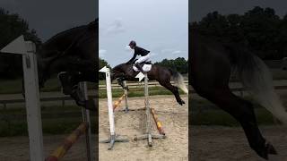 Knappe Cerrito 1M springen Aerdenhout [upl. by Brad]