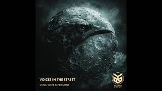 Voices in the Street  Sonic Wave Experiment  Electronic amp Techno Moonlife Records [upl. by Geier]