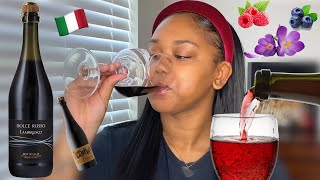 Wines You Should Be Drinking Lambrusco 🍇 BEGINNER FRIENDLY [upl. by Annodas214]