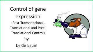 611 Chapter 19  Control of gene expression  PostTranscriptional control [upl. by Eitnom]