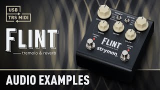 New Flint Audio Examples  Strymon [upl. by Sibeal]