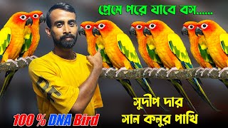 বেলঘড়িয়ার সেরা বিদেশী পাখির এভিয়ারি💥। Best Quality Sun Conure Bird Rainbow Lory Bird Cockatiel [upl. by Ciapas]