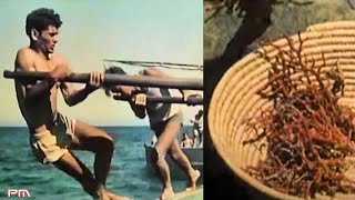 Aspetti della Sardegna N° 5  Pescatori di corallo  Alghero 1955 [upl. by Surazal]